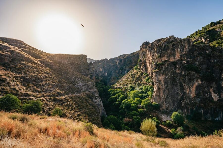 Granada: Los Cahorros de Monachil Canyon Hiking Tour - Suspension bridges and the canyon’s narrow sections