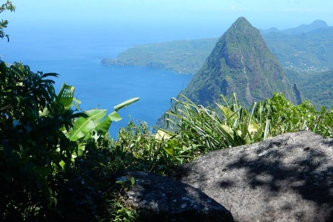 Gros Piton Hike with Dannyboy & Co. - Private transport, shared rides, and cruise schedules