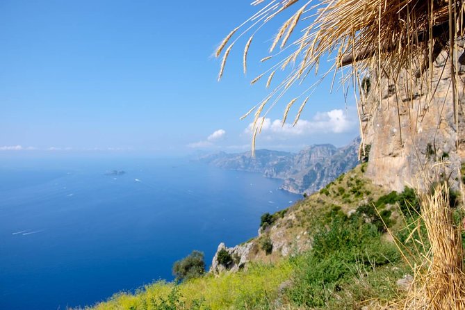 Guided Day Hike on the Path of the Gods with Sorrento Transfer - Views, herbs, animals, and old farm terraces
