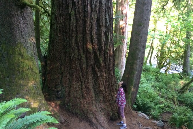Guided forest hike to Seattle waterfalls incl. Snoqualmie Falls - Twin Falls and Upper Falls: the best part of the day