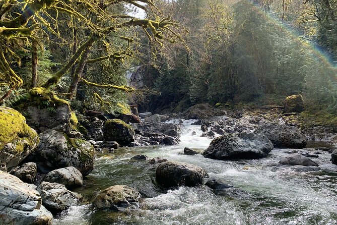 Guided forest hike to Seattle waterfalls incl. Snoqualmie Falls - Who should book this Seattle waterfall tour?
