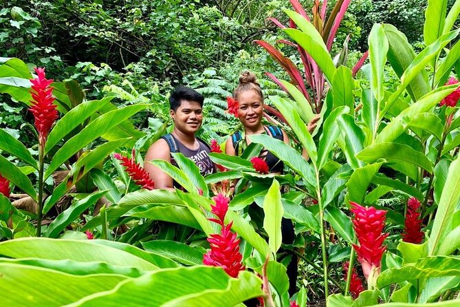 Half-Day Guided Hike to Afareaitu Waterfall - Entering Afareaitu, the Valley of Gods and Kings