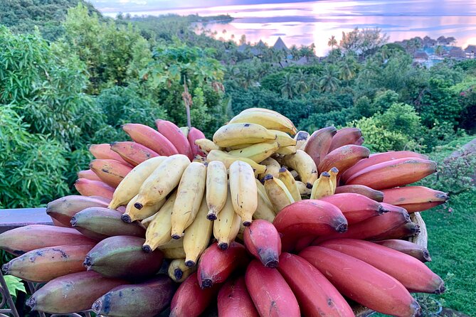 Half-Day Guided Hike to Afareaitu Waterfall - Ancient sites and Polynesian stories