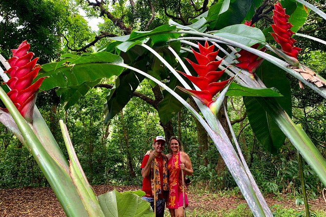 Half-Day Guided Hike to Afareaitu Waterfall - Is $97.17 a fair price?