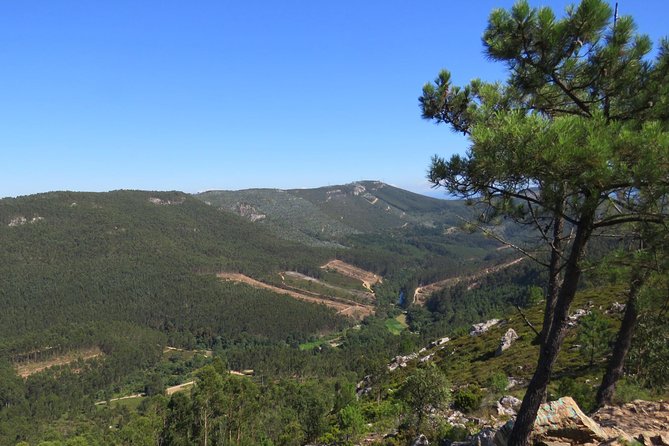 Half-day Hike & Picnic with Dog Love in Porto's Mountains - Leaving Porto behind at São Bento Station