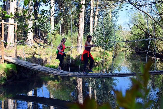 Half-day Hike & Picnic with Dog Love in Porto's Mountains - What you may see along the route