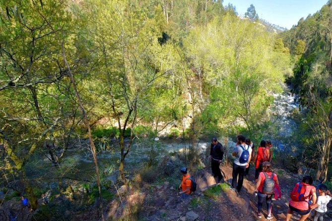 Half-day Hike & Picnic with Dog Love in Porto's Mountains - Ricardo’s guiding style and Shy’s role