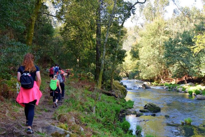 Half-day Hike & Picnic with Dog Love in Porto's Mountains - Three hours among rivers, rocks, and old mines