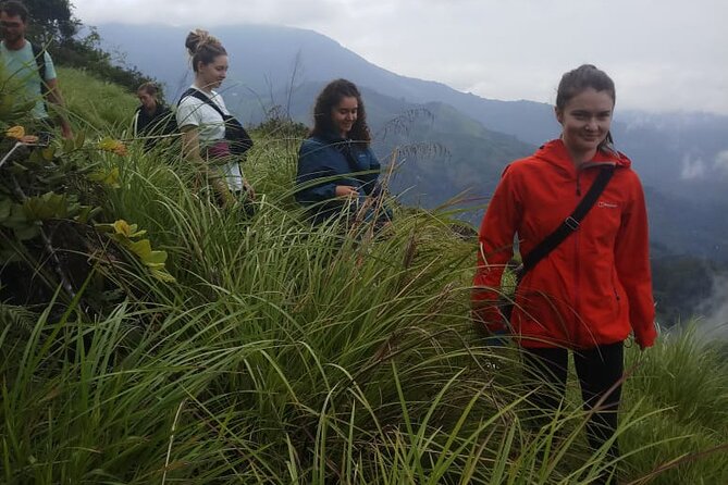 Half Day Hiking in Munnar Trekking Tour - Jungle paths, plants, and possible wildlife