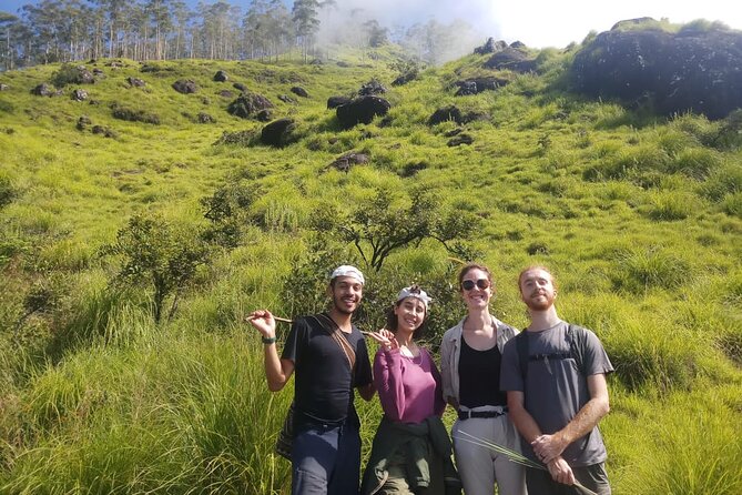 Half Day Hiking in Munnar Trekking Tour - Tea plantations with a local explanation