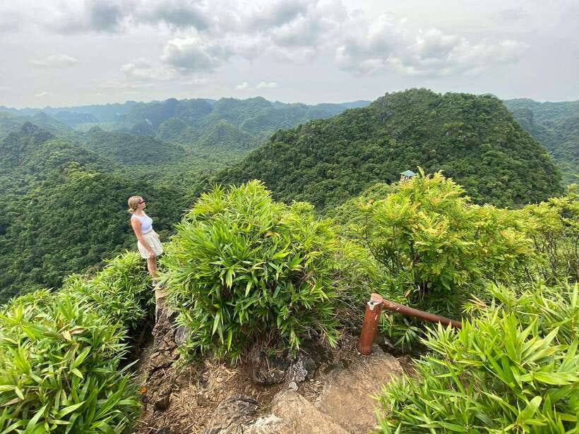 Half Day Hiking to Cat Ba National Park with a Guide - Five things to know before you book