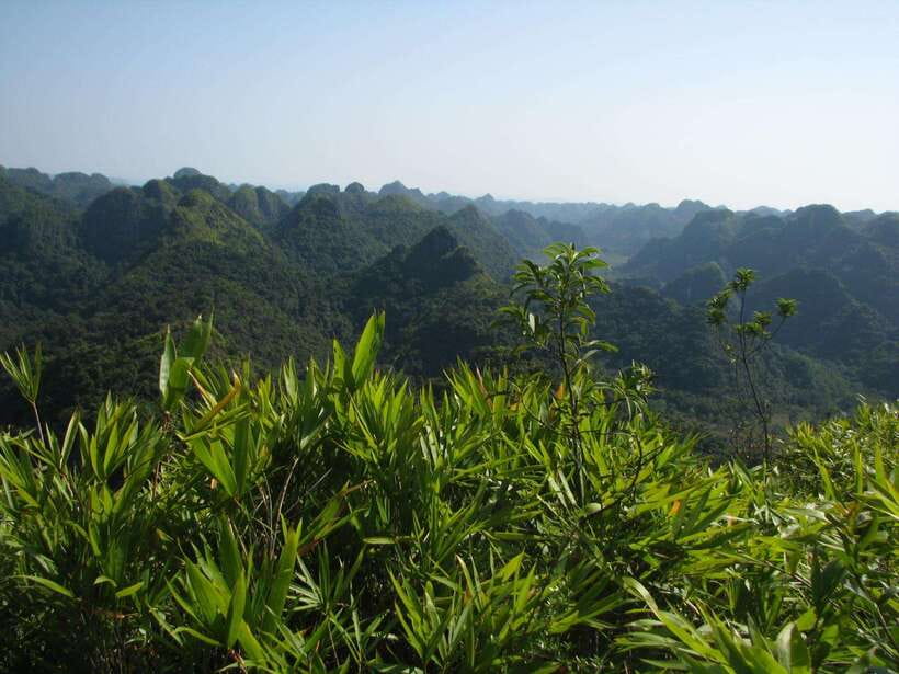 Half Day Hiking to Cat Ba National Park with a Guide - Trung Trang Cave and its long limestone passage