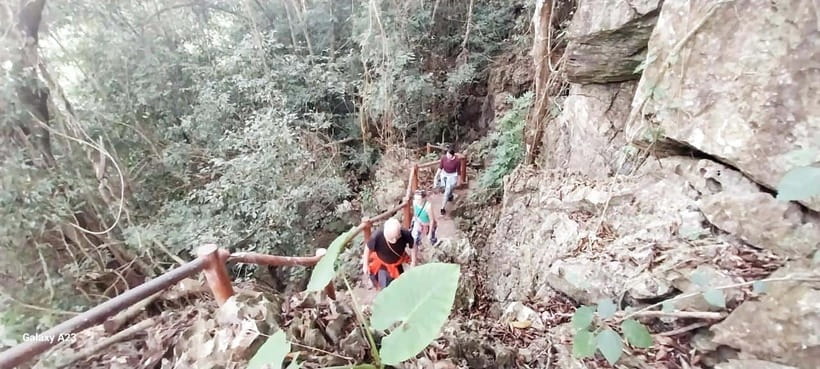 Half Day Hiking to Cat Ba National Park with a Guide - Chua Linh Quang and a short lesson in Buddhism