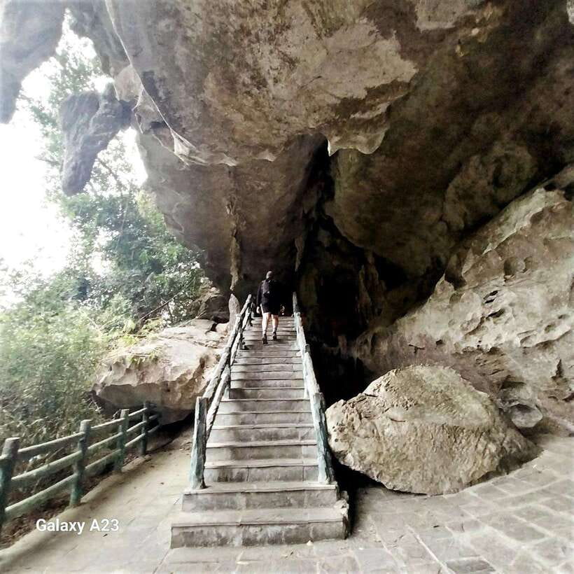 Half Day Hiking to Cat Ba National Park with a Guide - Should you book this Cat Ba half-day tour?
