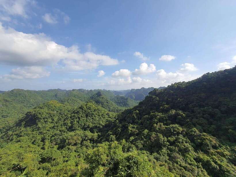 Half Day Hiking to Cat Ba National Park with a Guide - Hiking through Cat Ba National Park to Ngu Lam Peak