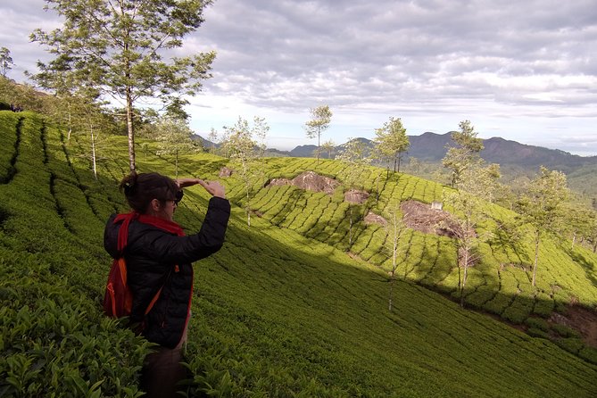 Half day trekking (munnar valley Trekking & Tours ) - What the $8 price really gives you