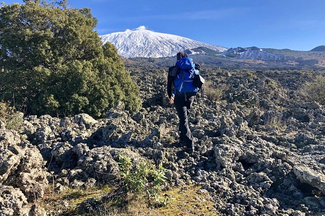 Half or full day trekking on Etna with private guide - How difficult is the walk?