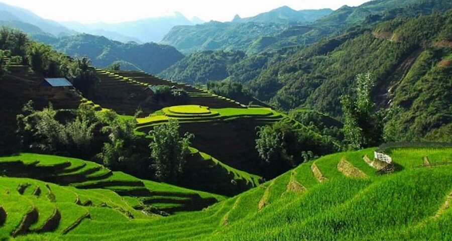 Hanoi: 2-Day Sa Pa Guided Village & Homestay Trekking Tour - Four details that shape the experience