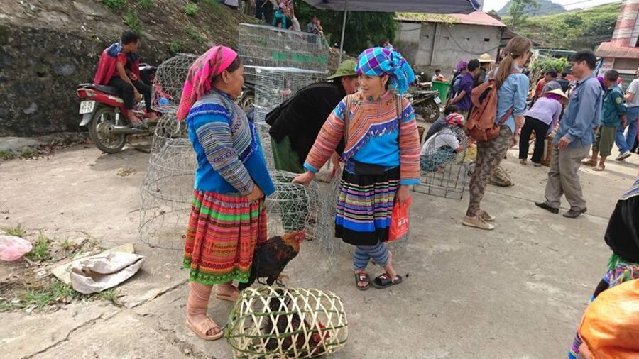 Hanoi: 2-Day Sa Pa Guided Village & Homestay Trekking Tour - Who will enjoy this Sapa tour most