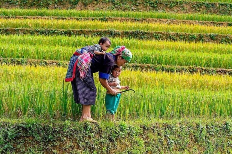 Hanoi: 2-Day Sa Pa Guided Village & Homestay Trekking Tour - Y Linh Ho to Lao Chai: the main walk