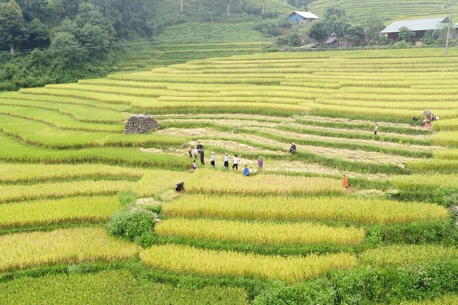 Hanoi - Sapa 2 Days 1 Night Overnight At Local Homestay - A short afternoon in Sapa town