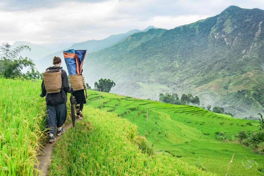 Hanoi: Sapa Trekking 2 Days 1 Night - Sleeper Bus from Hanoi - Is the $90 price good value?
