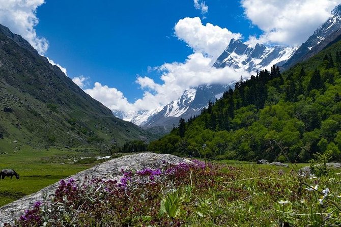 Har Ki dun Trek by Himalaya Shelter - Key points to know before booking