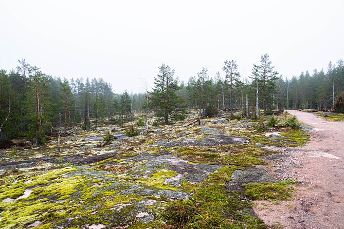 Helsinki: Nuuksio National park hiking with campfire lunch - The campfire lunch is the heart of the outing