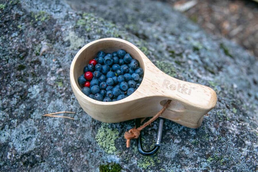 Helsinki: Nuuksio National park hiking with campfire lunch - The best seasons for this forest escape
