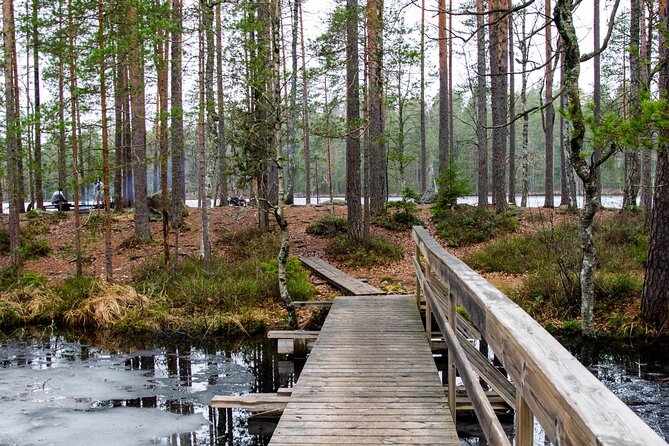 Helsinki: Nuuksio National park hiking with campfire lunch - A 7.5-kilometer route with views and steady climbs