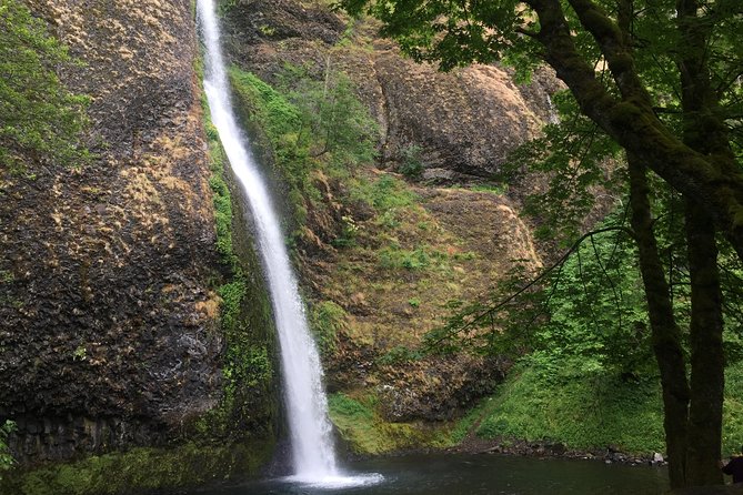 Hike and Bike Tour to Columbia River Gorge Waterfalls - Latourell or Horsetail Falls, where the forest takes over