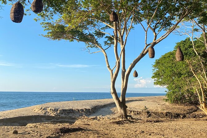 Hike and Yoga Jungle Experience in Mexico - A gentle beach yoga class for mixed abilities