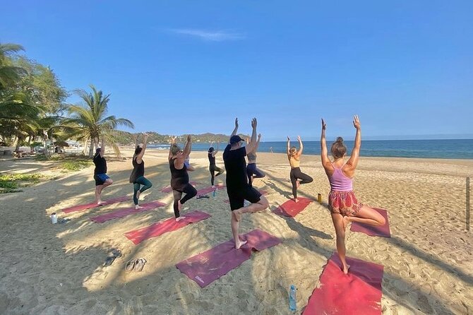 Hike and Yoga Jungle Experience in Mexico - The jungle trail takes real effort