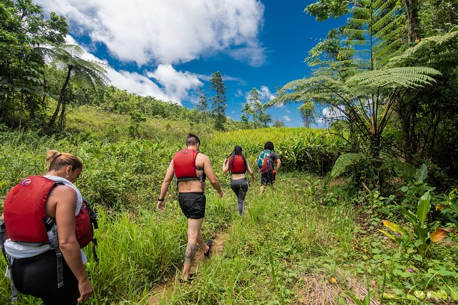 Hike El Yunque Rainforest and Kayak Bio Bay Combo Tour - Key things to know before booking