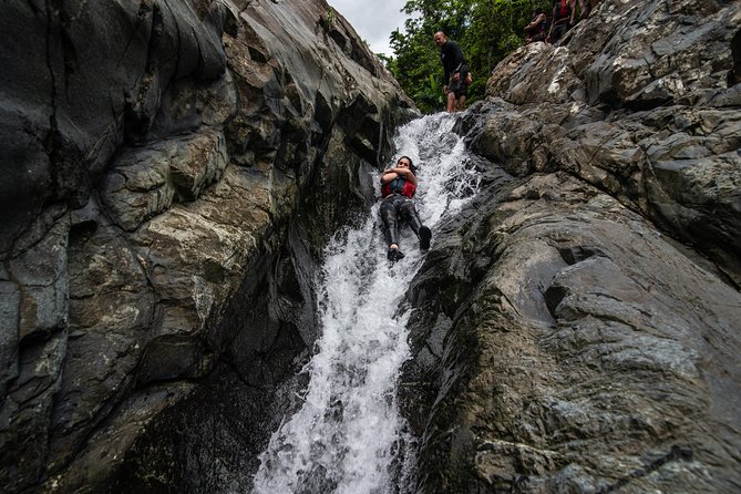 Hike El Yunque Rainforest and Kayak Bio Bay Combo Tour - Paddling through mangroves after dark