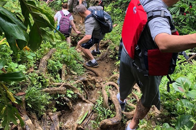 Hike El Yunque Rainforest and Kayak Bio Bay Combo Tour - What the $172 price really covers