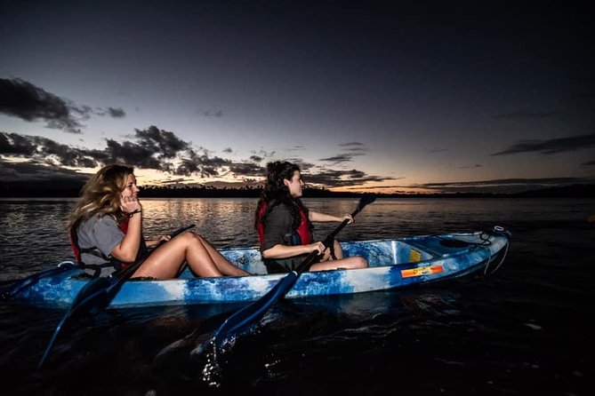 Hike El Yunque Rainforest and Kayak Bio Bay Combo Tour - The best and hardest parts of the day