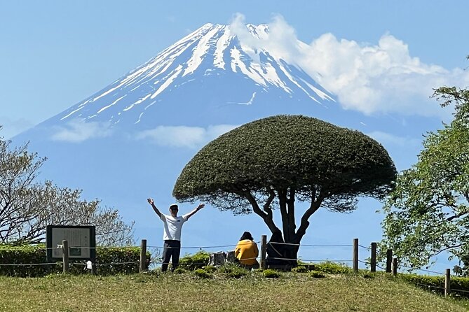 Hike Japan Heritage Hakone Hachiri with certified mountain guide - Key points about the Hakone Hachiri day