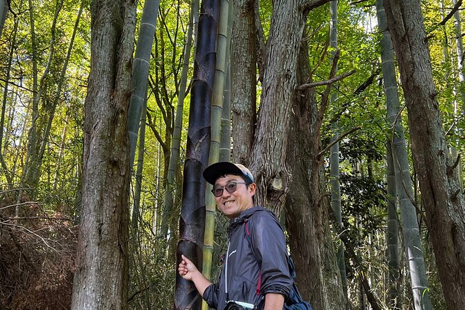 Hike Japan Heritage Hakone Hachiri with certified mountain guide - Hakone Checkpoint and lunch near Hakone-machi