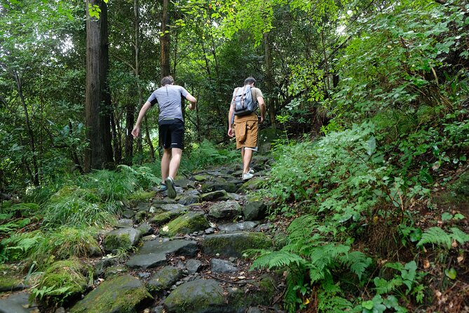 Hike Japan Heritage Hakone Hachiri with certified mountain guide - The bus transfer and Yamanaka Castle Ruins