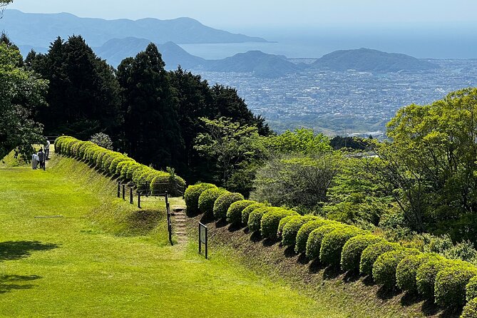 Hike Japan Heritage Hakone Hachiri with certified mountain guide - Ending in Mishima at Mishima Taisha and Genbe River