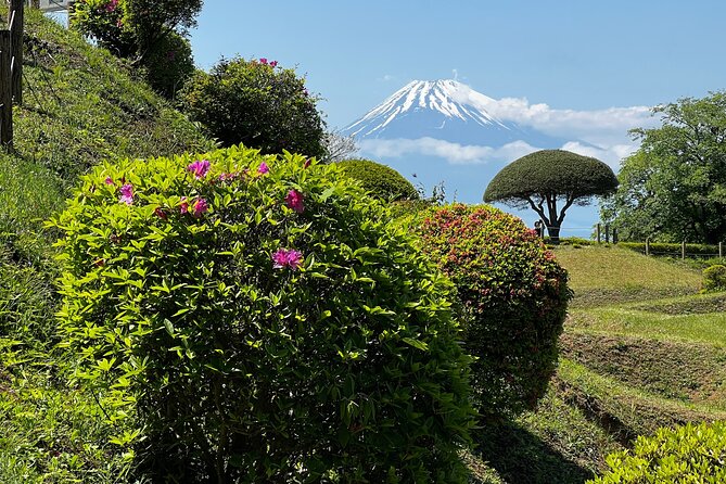 Hike Japan Heritage Hakone Hachiri with certified mountain guide - What the guide adds to the day