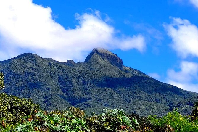 Hike St. Kitts: Highest peak Mount Liamuiga Volcano - Six stops and the climb toward the crater