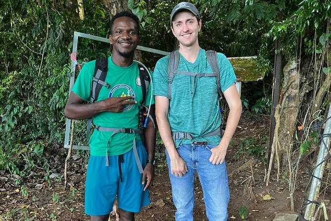 Hike St. Kitts: Highest peak Mount Liamuiga Volcano - The return to Basseterre