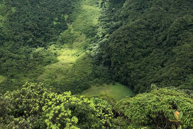 Hike St. Kitts: Highest peak Mount Liamuiga Volcano - What $109.99 gets you