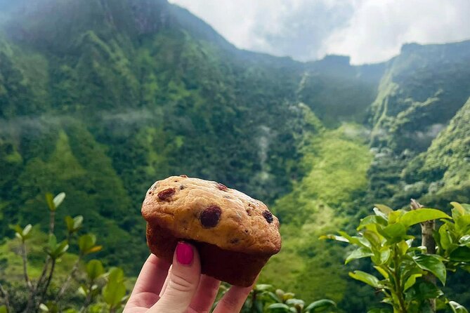 Hike St. Kitts: Highest peak Mount Liamuiga Volcano - Who should book this volcano hike?