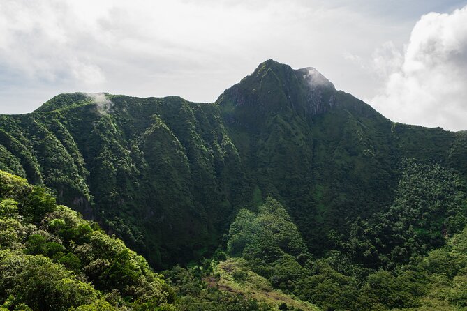 Hike St. Kitts: Highest peak Mount Liamuiga Volcano - Entering Mount Liamuiga’s rainforest
