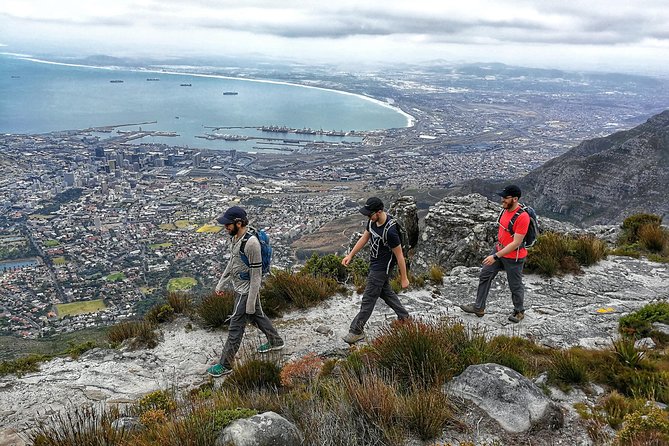 Hike Table Mountain with a Guide - Choose Route - What makes India Venster more thrilling