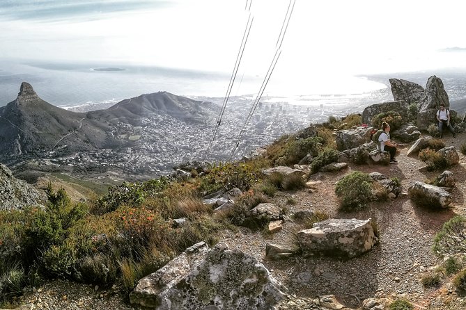 Hike Table Mountain with a Guide - Choose Route - Reaching the summit and returning downhill