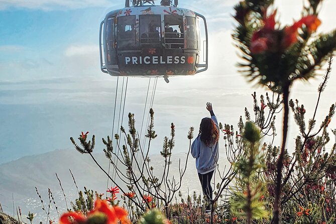Hike Table Mountain with a Guide - Choose Route - Is $65 a fair price?